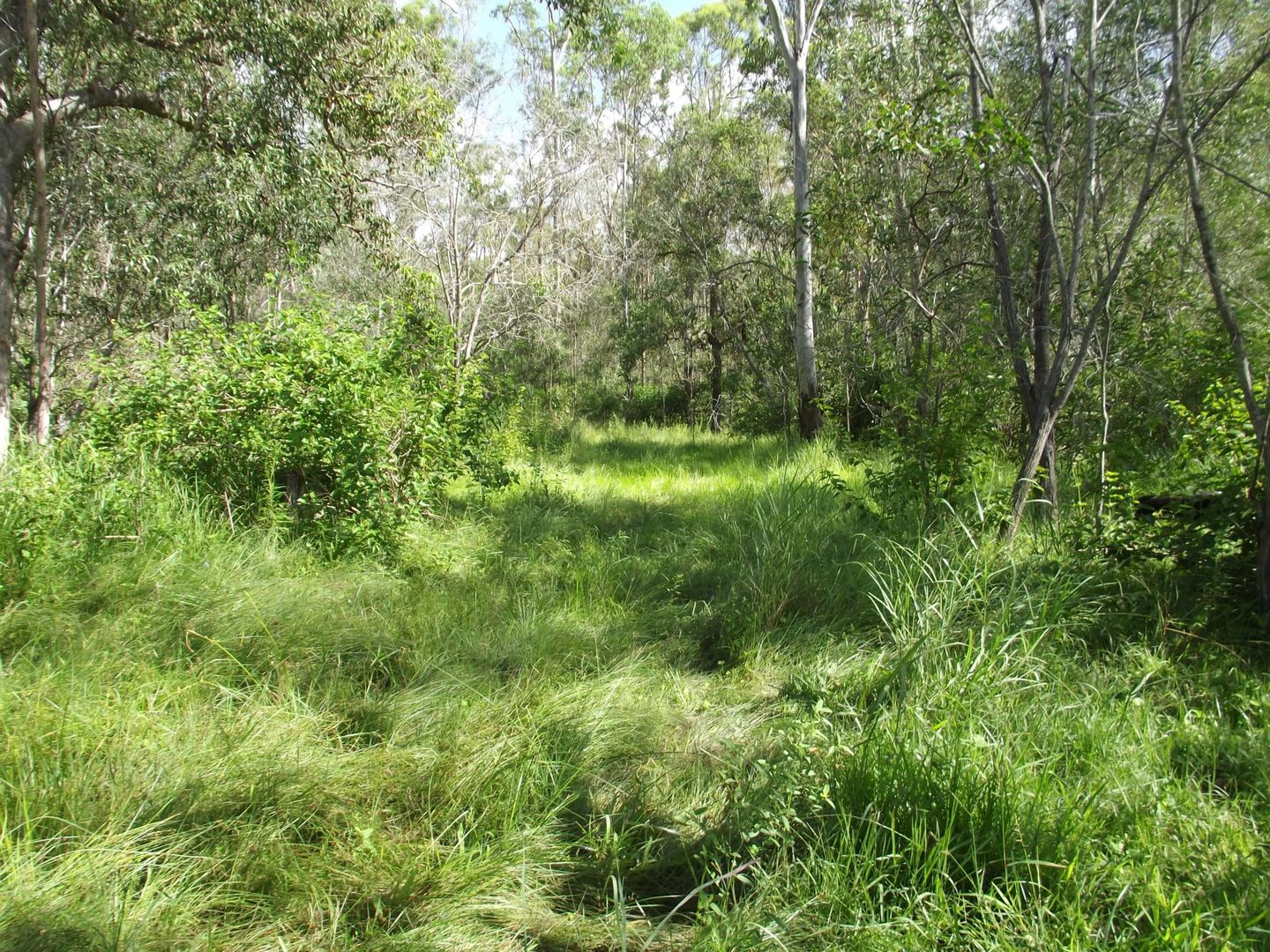 Lot 23 Corfield Drive, Booyal QLD 4671, Image 1