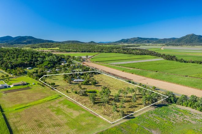 Picture of 203 Strathdickie Road, STRATHDICKIE QLD 4800