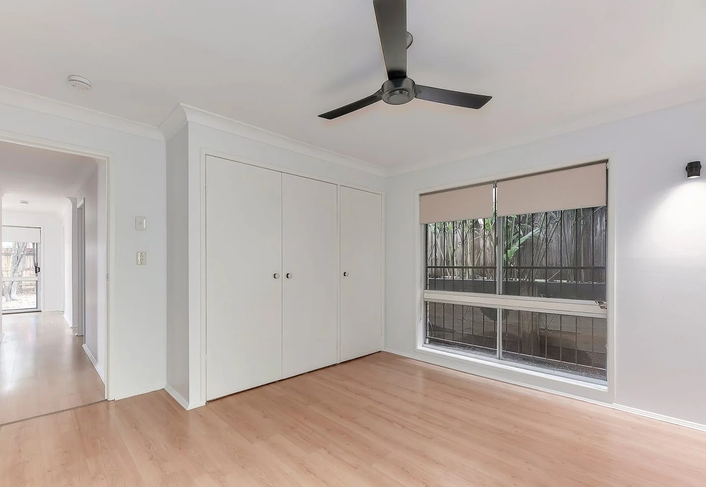 Additional image 4 of 117 Lloyd Street, Alderley QLD 4051