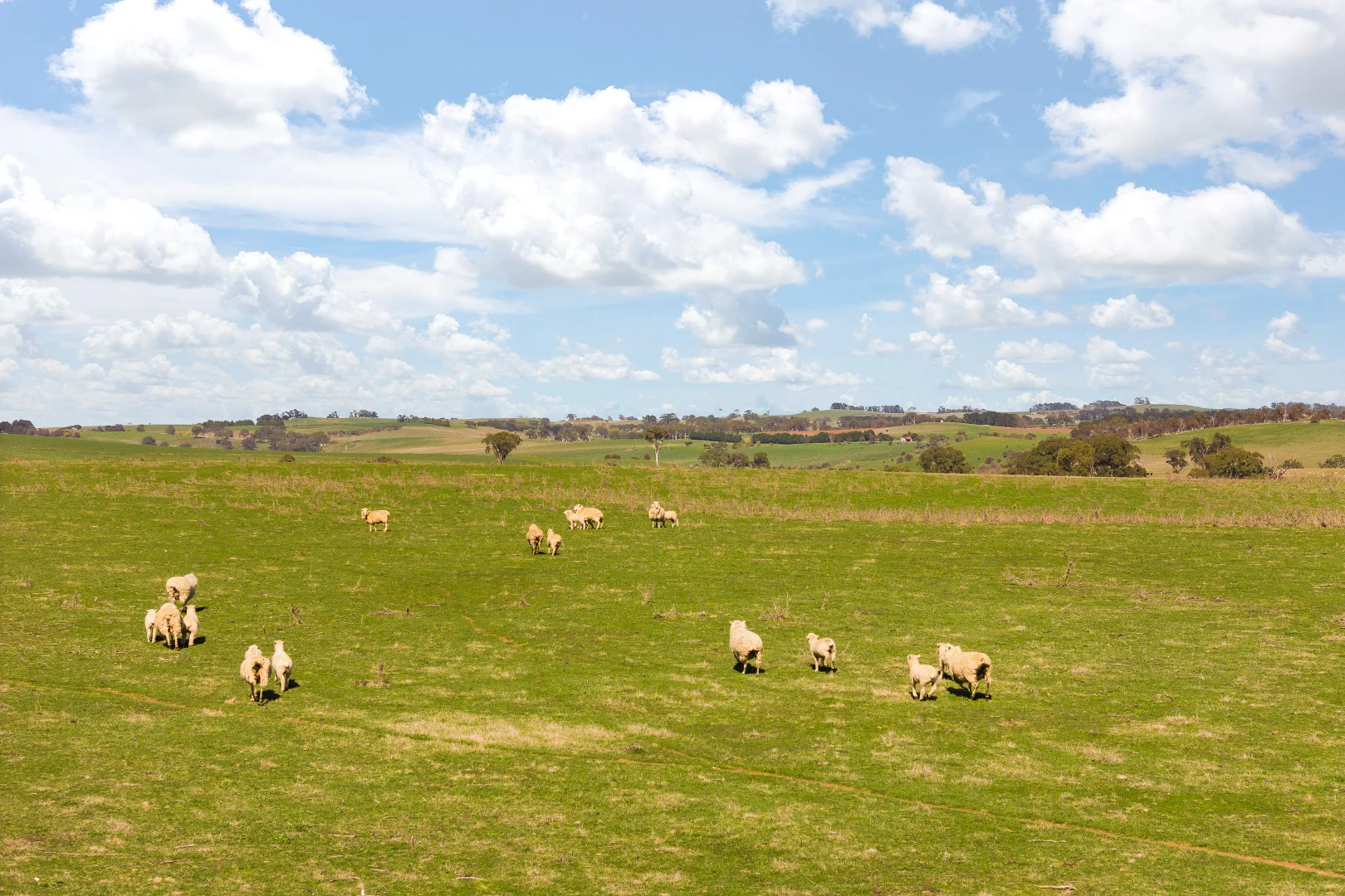 Additional image 14 of Millthorpe NSW 2798