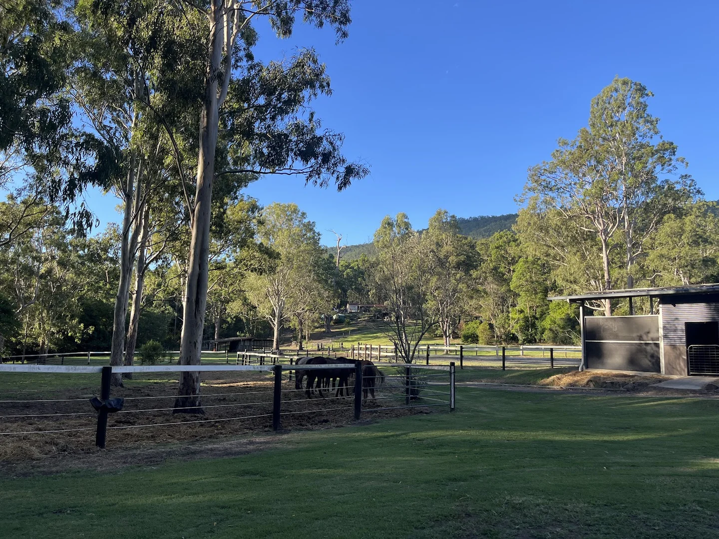 Additional image 13 of 130-136 Wagonwheel Road, Boyland QLD 4275