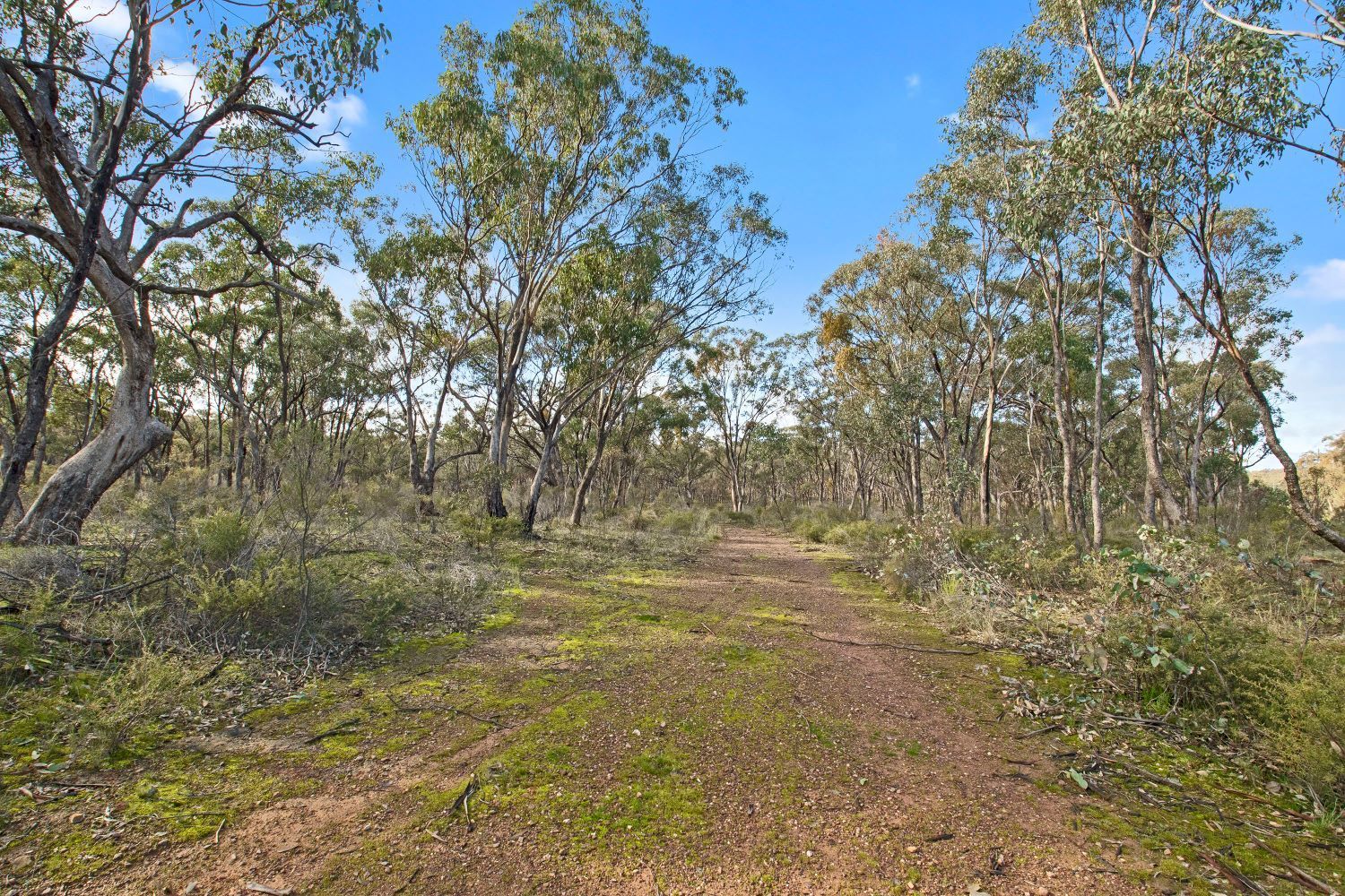 6b Pinpandoor Road, Axedale VIC 3551, Image 1