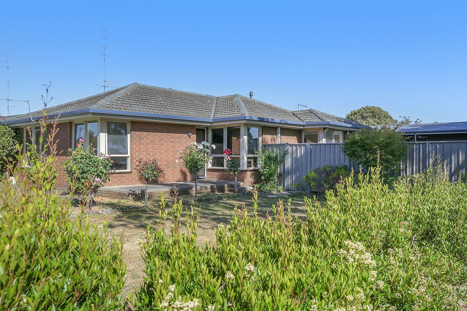 1 Troy Street, Colac VIC 3250, Image 0