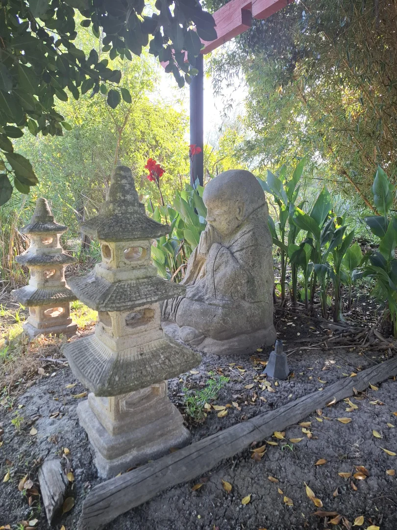 Image 34