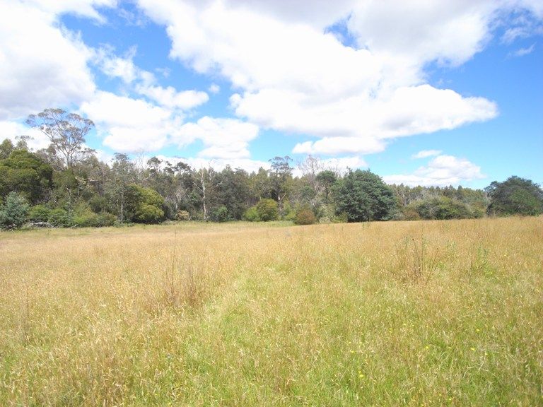 Lot 1 Dakins Road, St Marys TAS 7215, Image 1