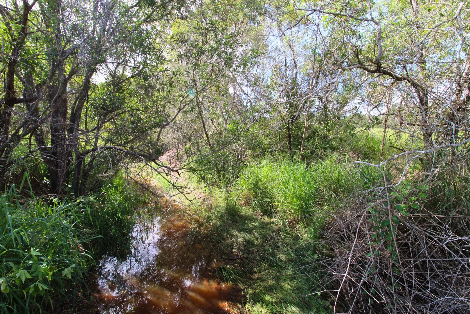 Additional image 8 of Lot 1344 Redhill Farms Road, Redhill Farms QLD 4671