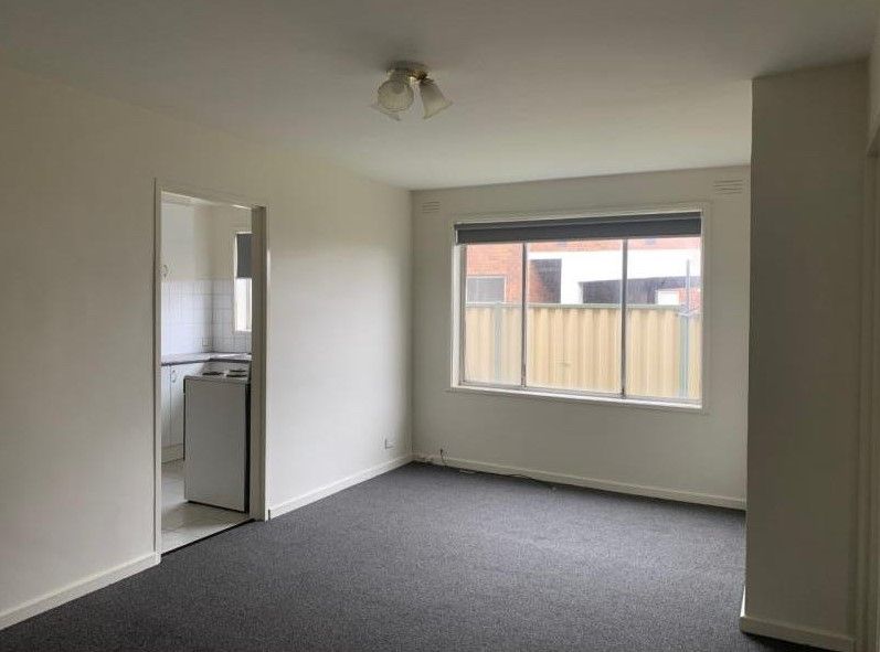 Christmas shop princes hwy dandenong