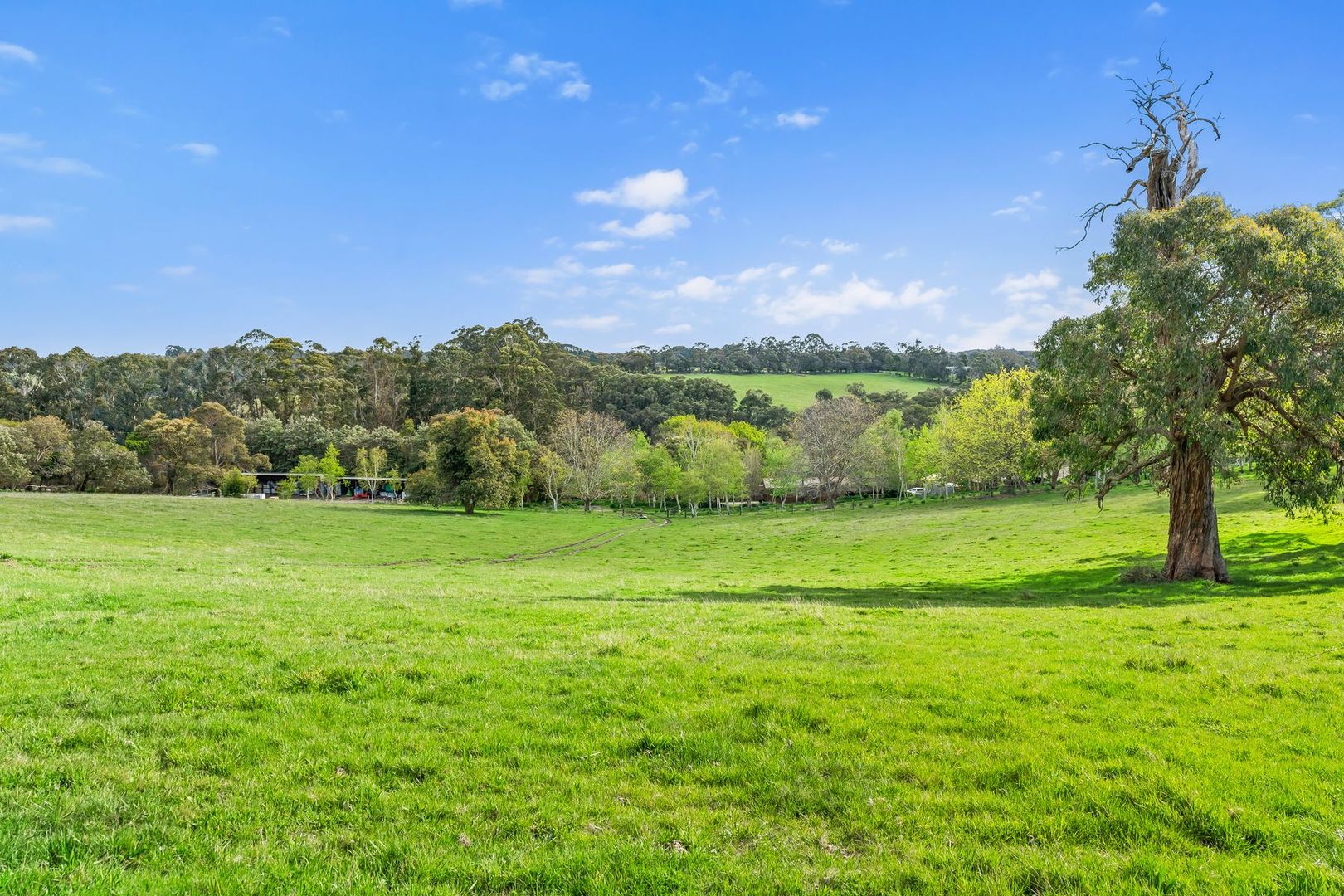 650 Bourkes Creek Road, Dewhurst VIC 3808, Image 2