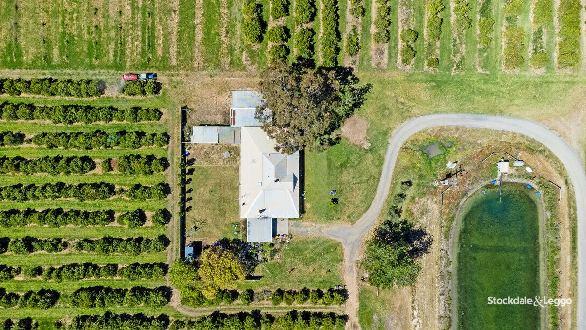 Image 11