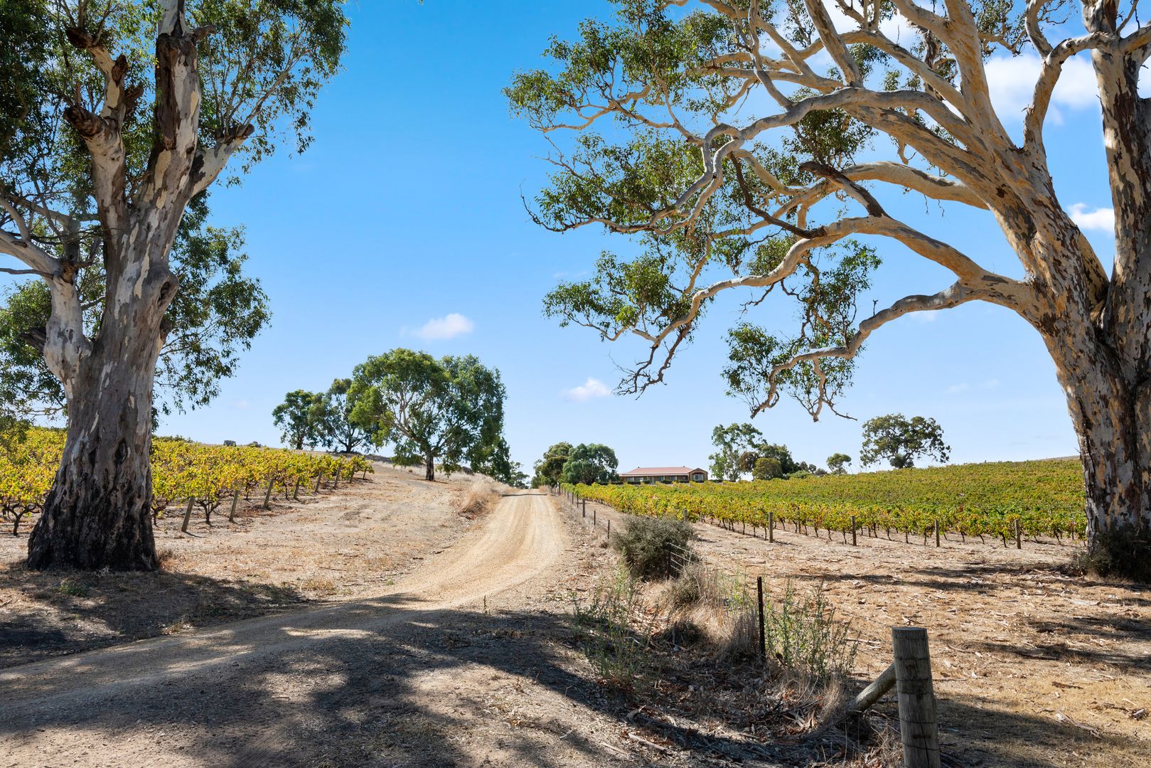 133 Rhine Park Road, Eden Valley SA 5235