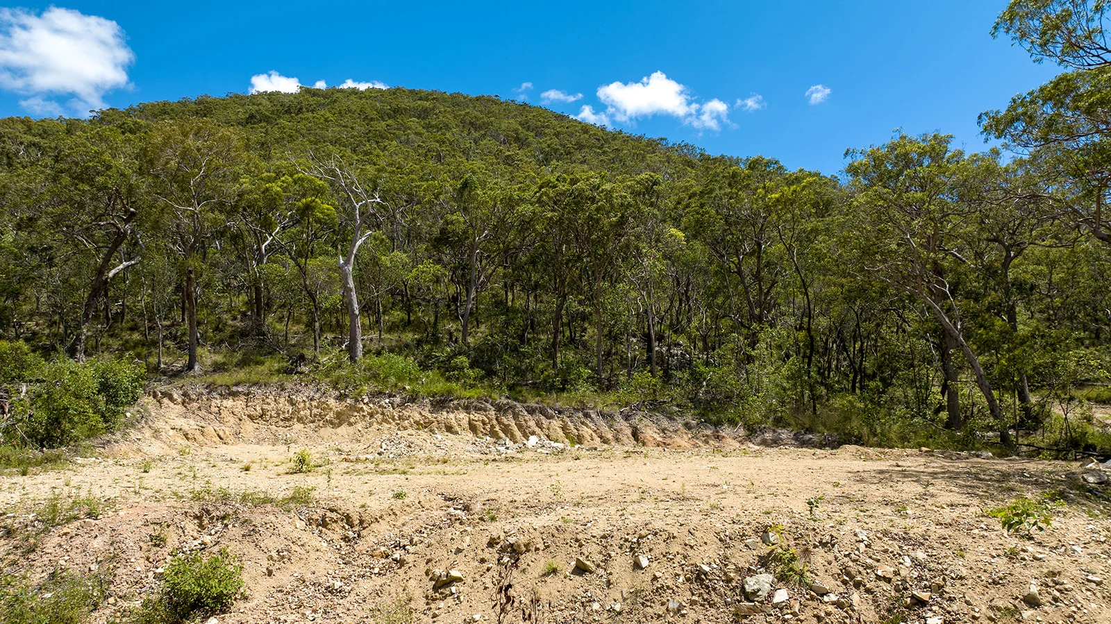 Image 14