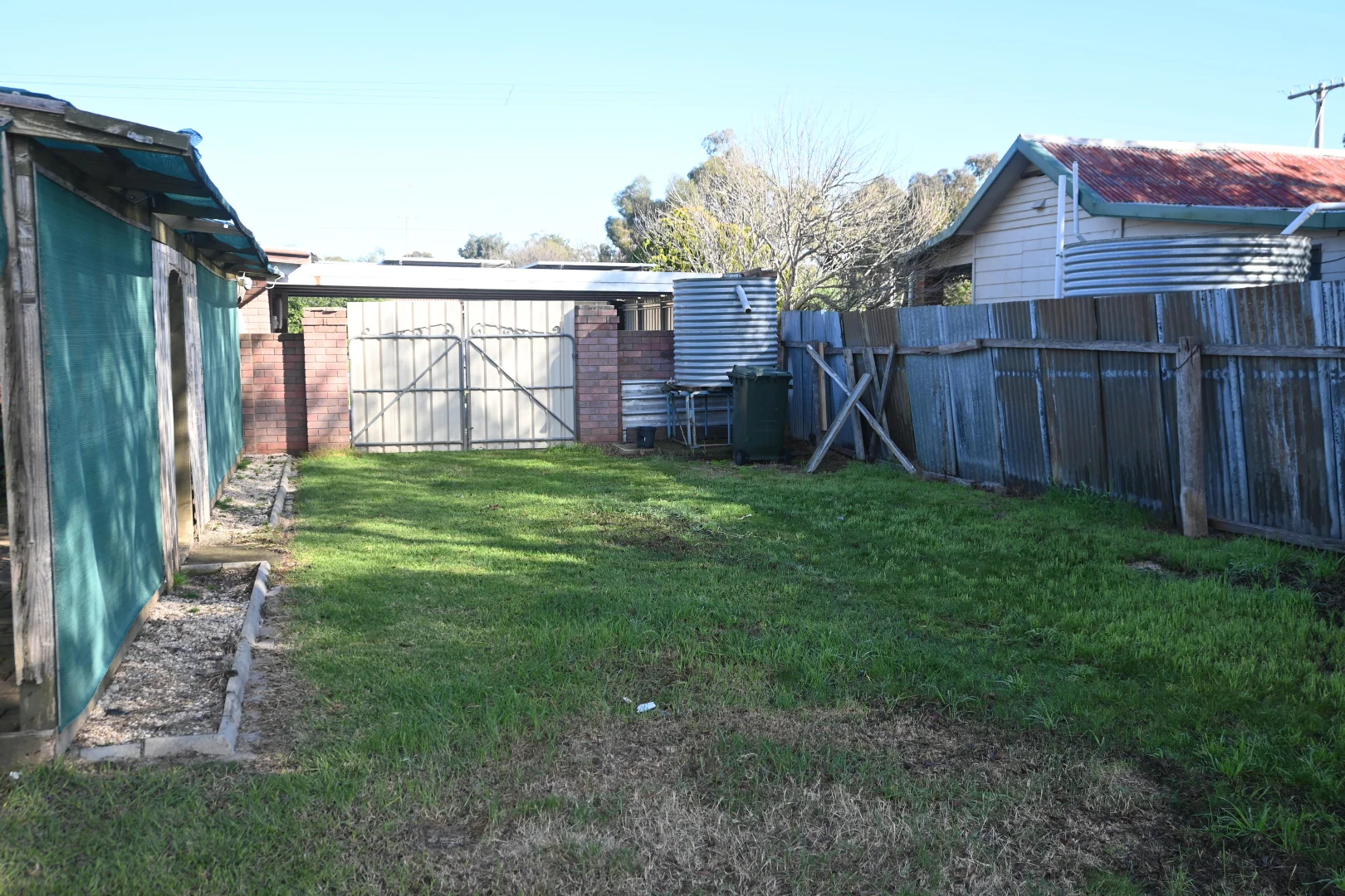 Image 12