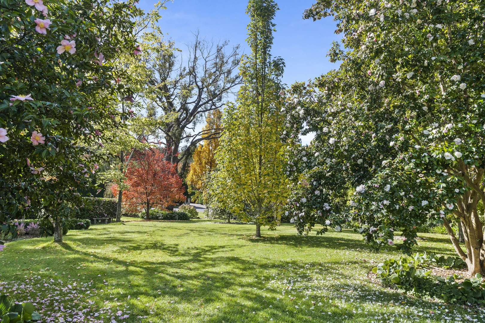Image 20