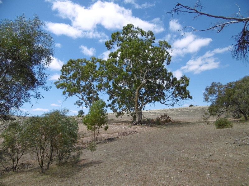 Sec 142 Beetaloo Valley Road, Laura SA 5480, Image 0