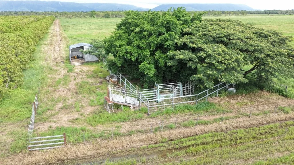 Additional image 33 of 3 Comiskey Road, Giru QLD 4809
