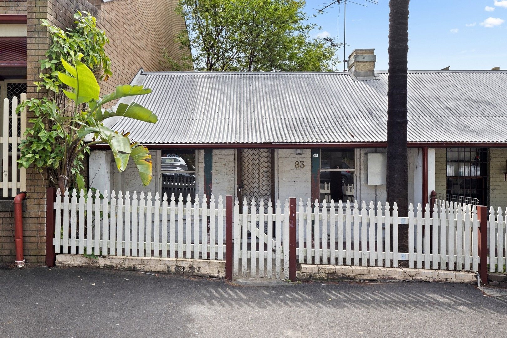 83 Derwent Street, Glebe NSW 2037, Image 0