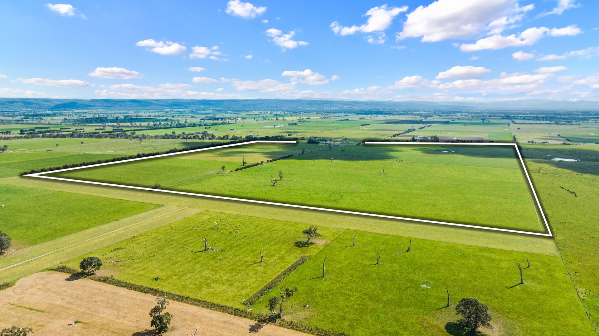 1169 Cairnbrook Road, Glengarry VIC 3854 Livestock Property for Sale