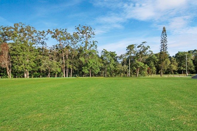 Picture of Lot 5 'Kauri Estate' via Shaws Road, BEERWAH QLD 4519