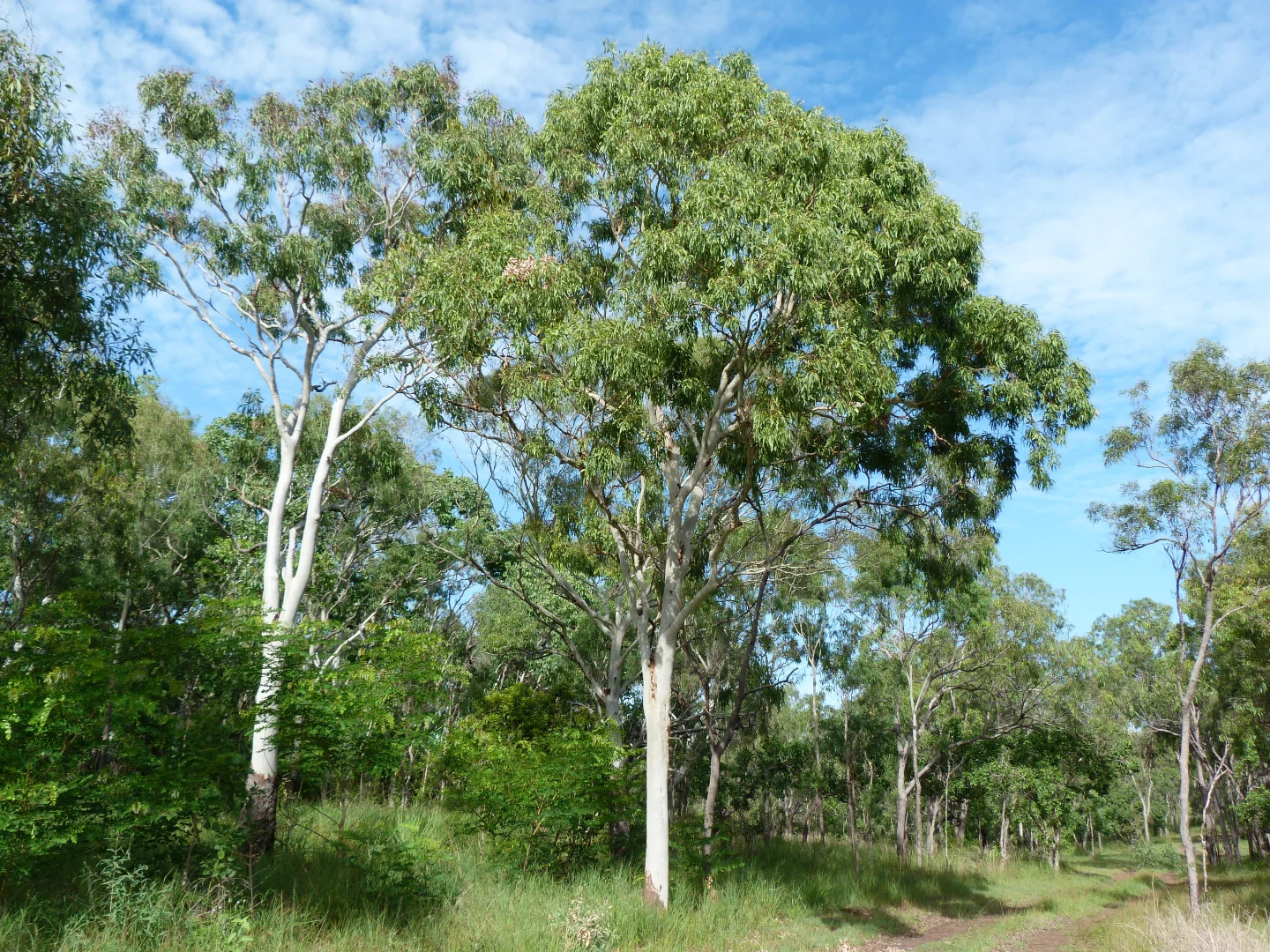 Image 35