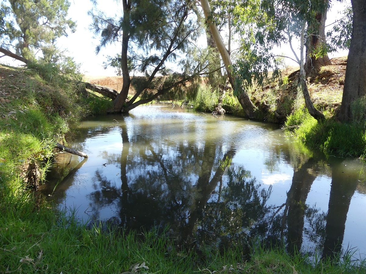 Attunga NSW 2345, Image 2