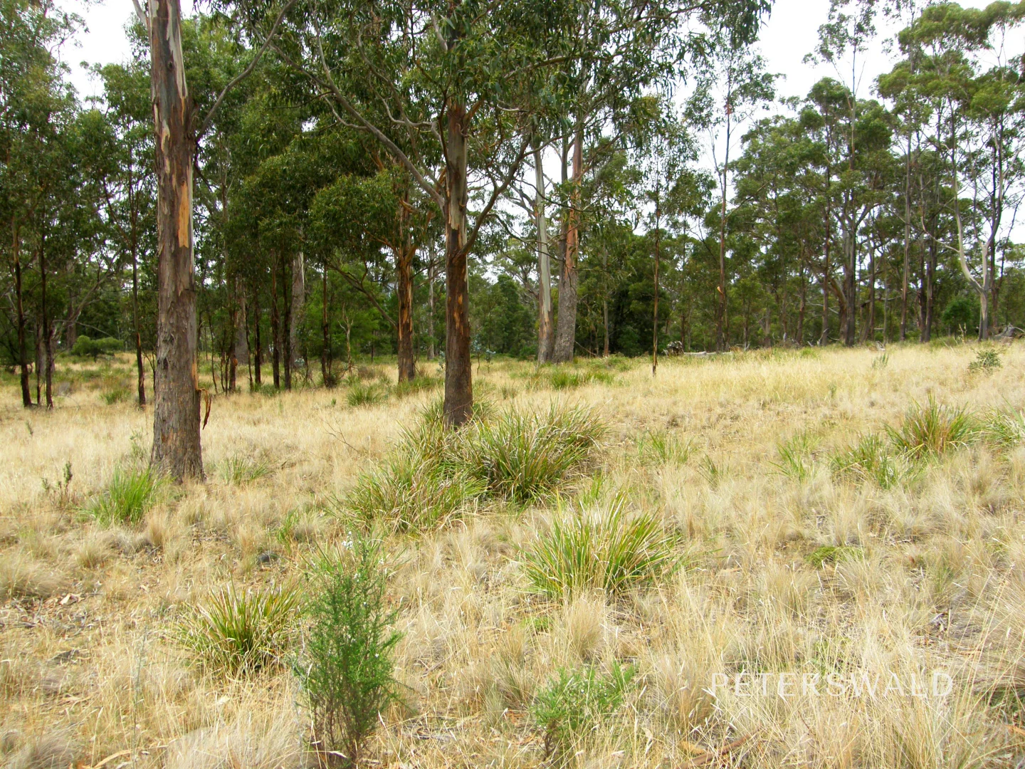 Image 16