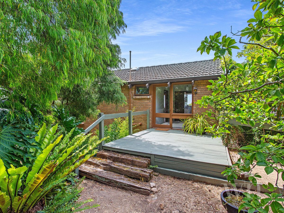 3 Gray Street, Mount Martha VIC 3934 House For Rent Domain