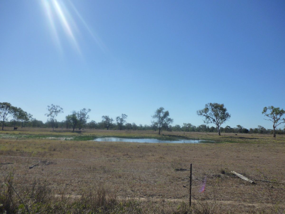Lot  113 Edwards Road, Pink Lily QLD 4702, Image 2