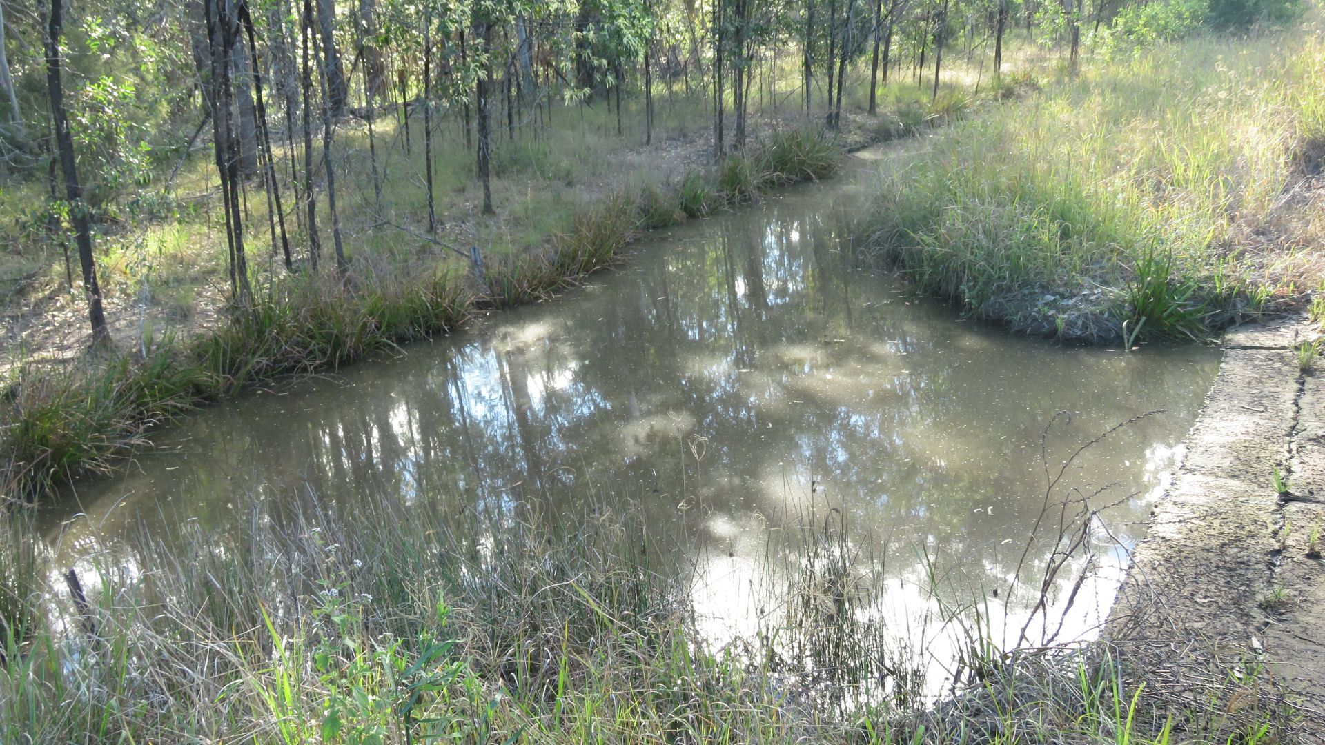 Lot 2 Clearfield Road, Myrtle creek via, Casino NSW 2470 Farm for Sale