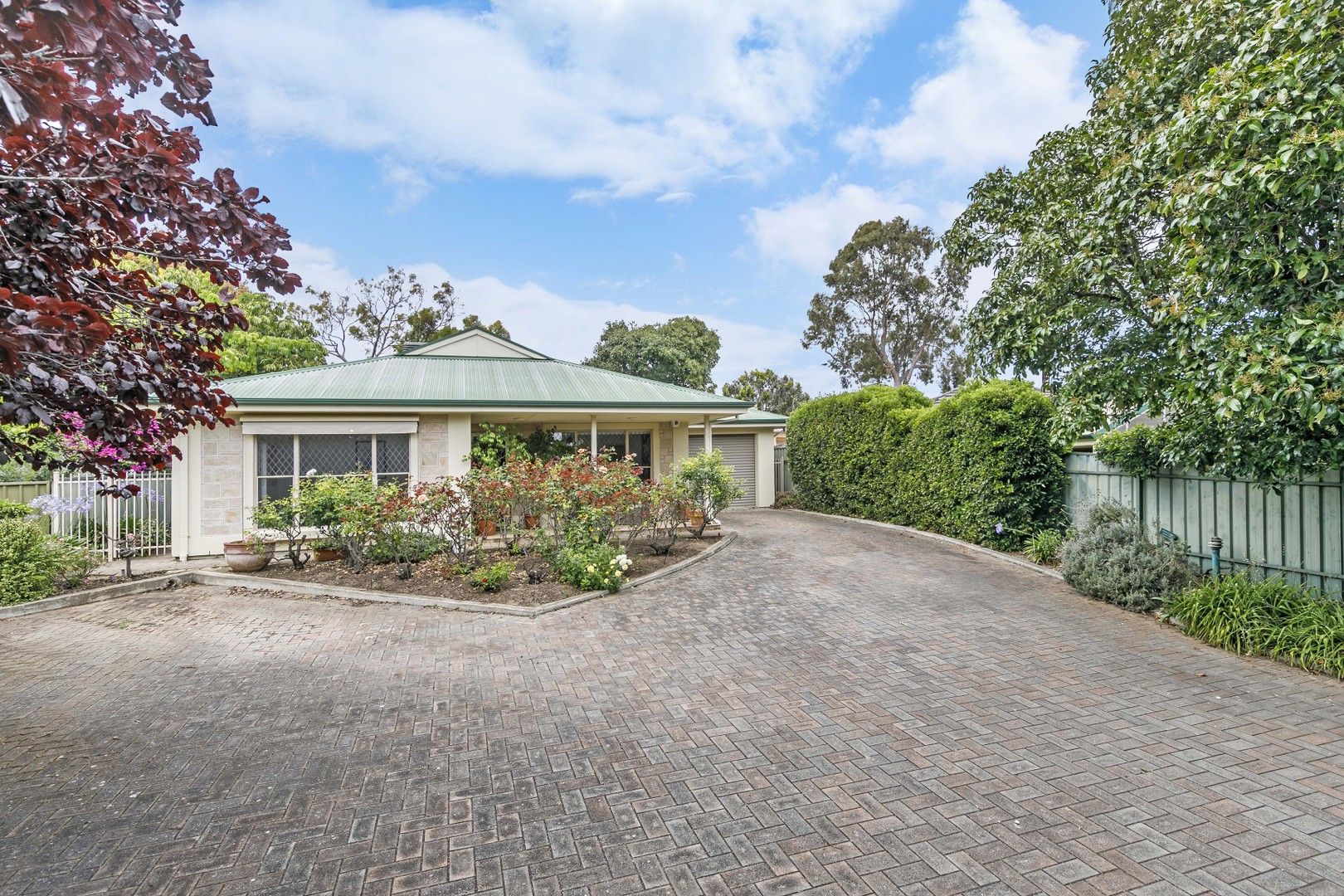 59A Eliza Place, Panorama SA 5041, Image 0