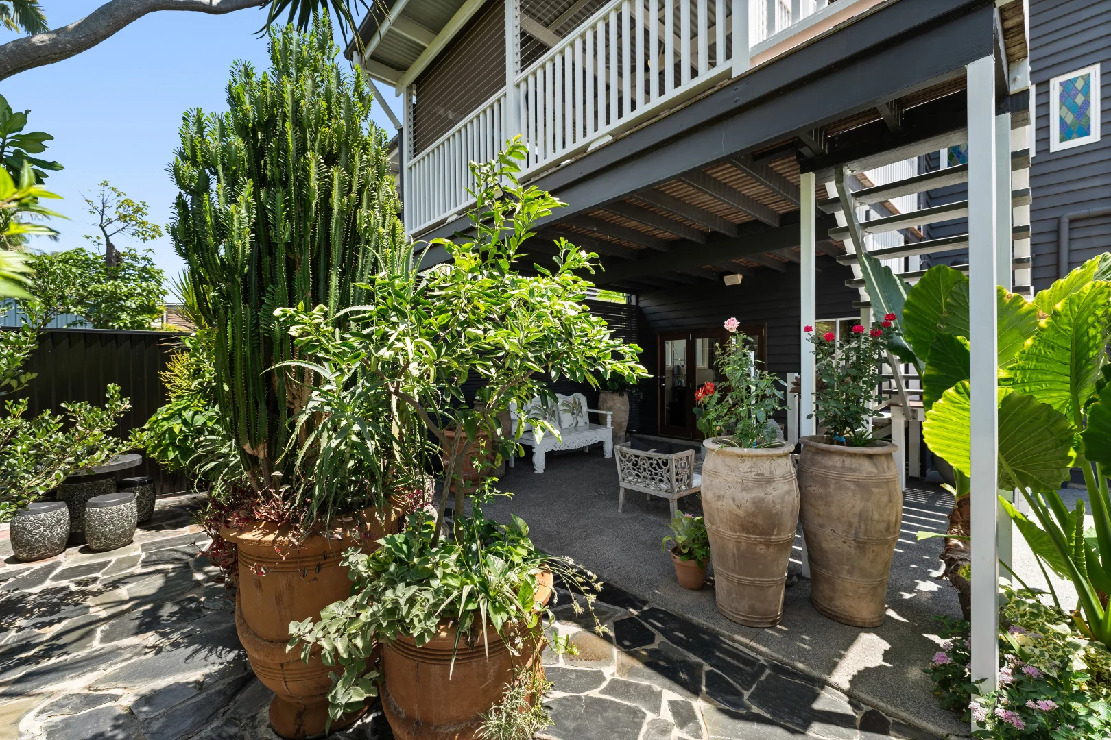 Additional image 16 of 84 Cavendish Road, Coorparoo QLD 4151