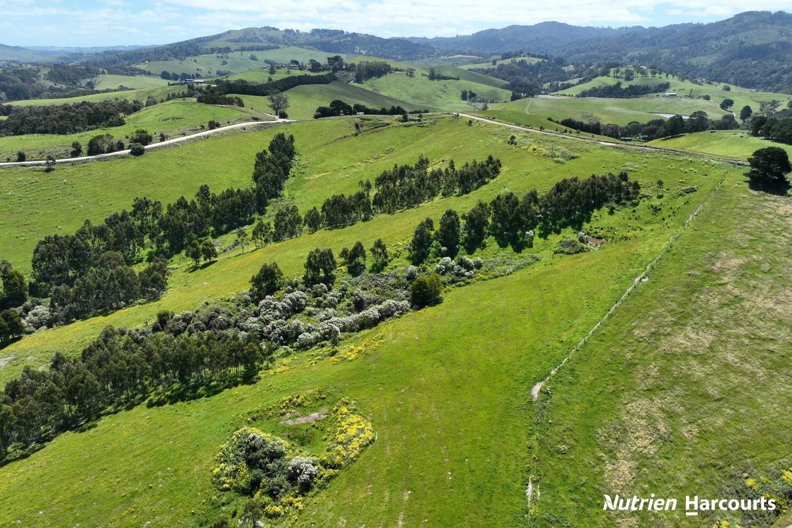 Additional image 6 of 2035 Woorarra East Road, Woorarra East VIC 3962