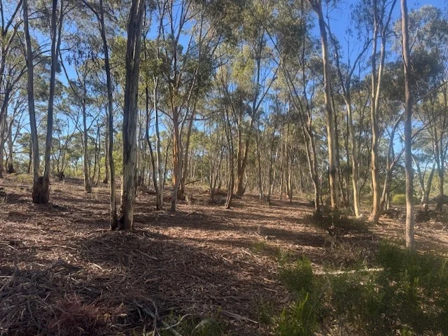 Image 8