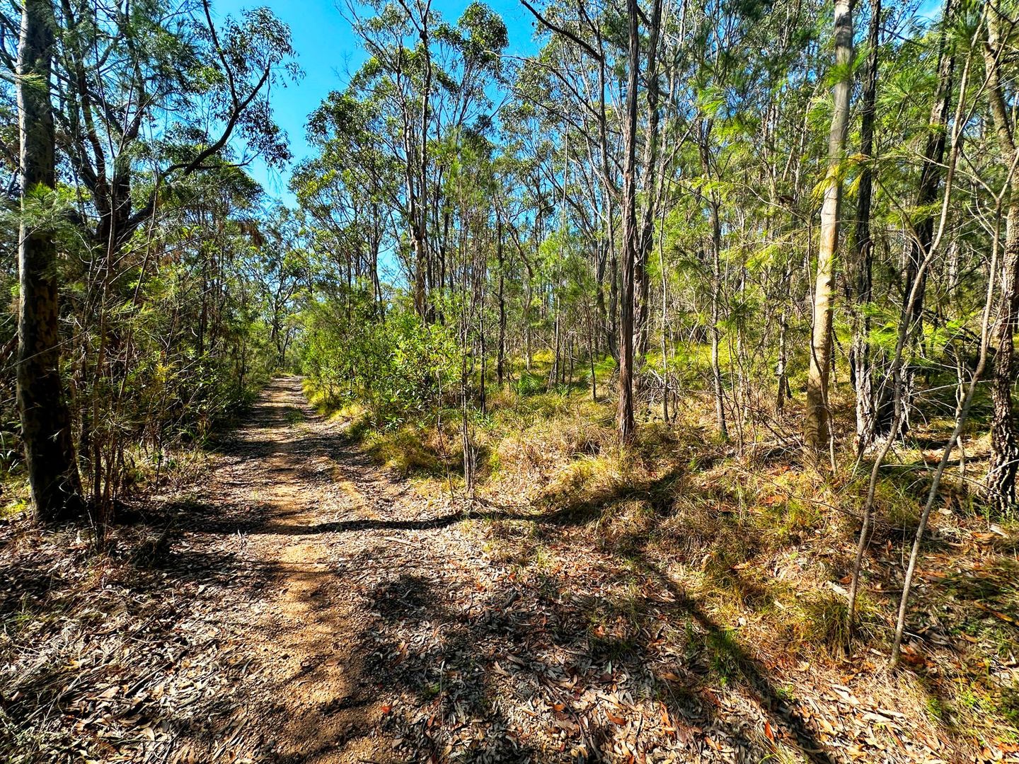 Lot 779 Tenterfield Road, North Arm Cove NSW 2324, Image 2