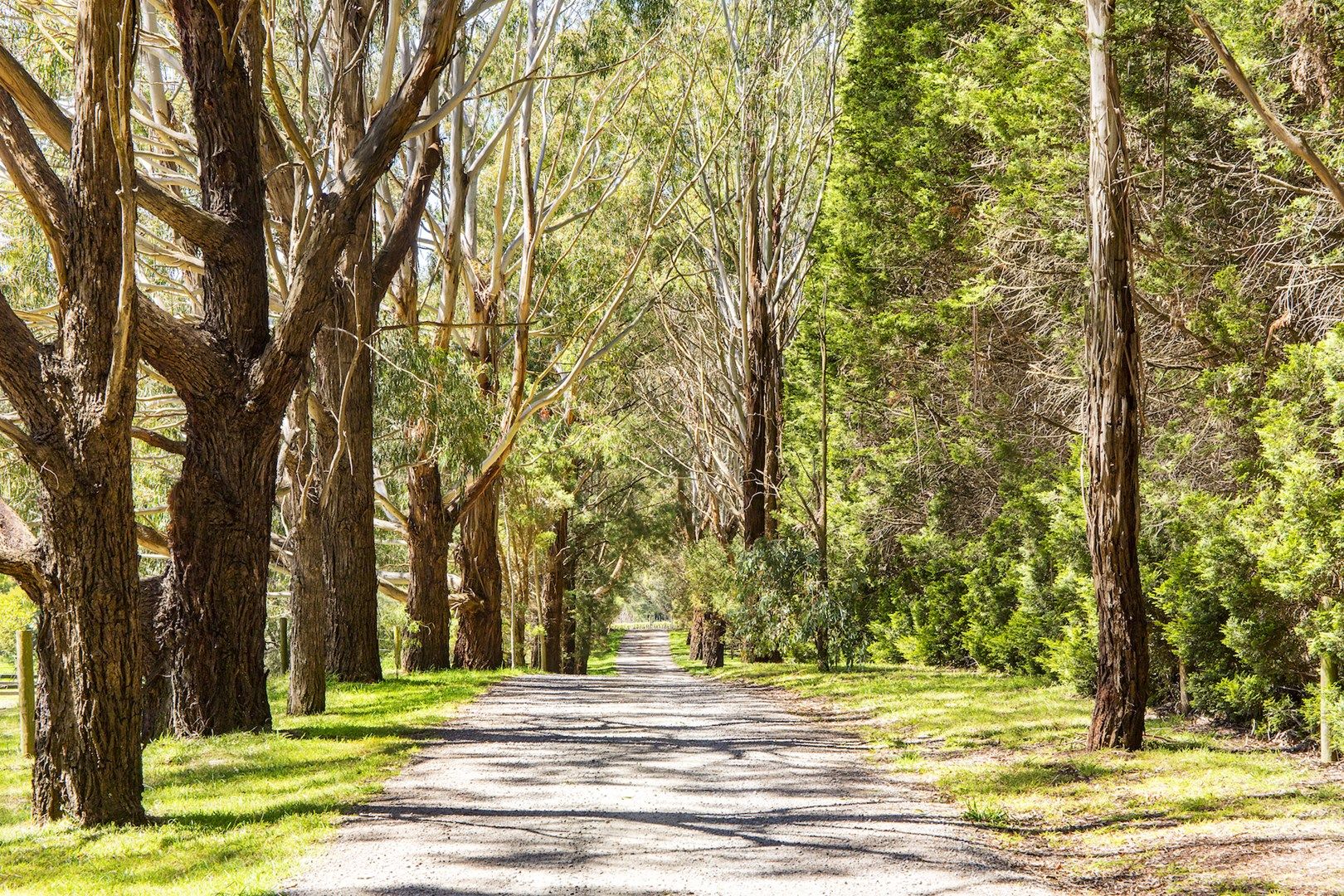 83 Tucks Road, Main Ridge VIC 3928, Image 1