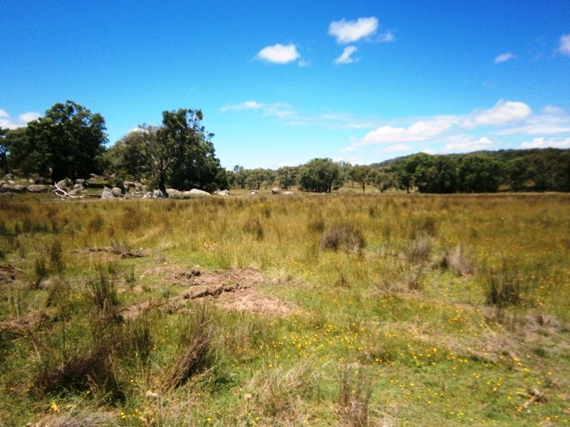 495 Onus Rd, Gum Flat NSW 2360, Image 2