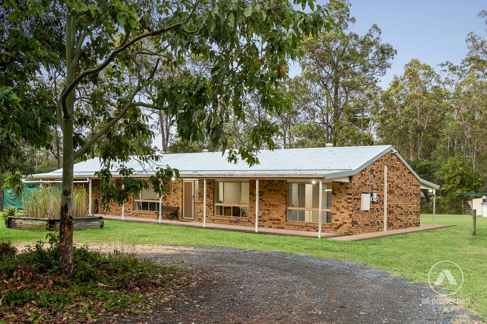 Image 25
