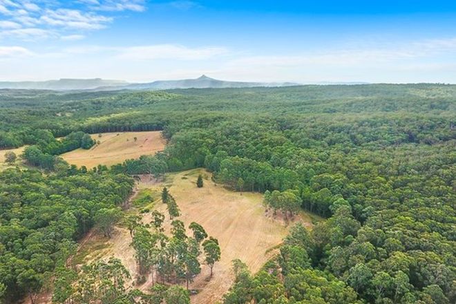 Picture of Lot 46, 1075 Brooman Road, BROOMAN NSW 2538