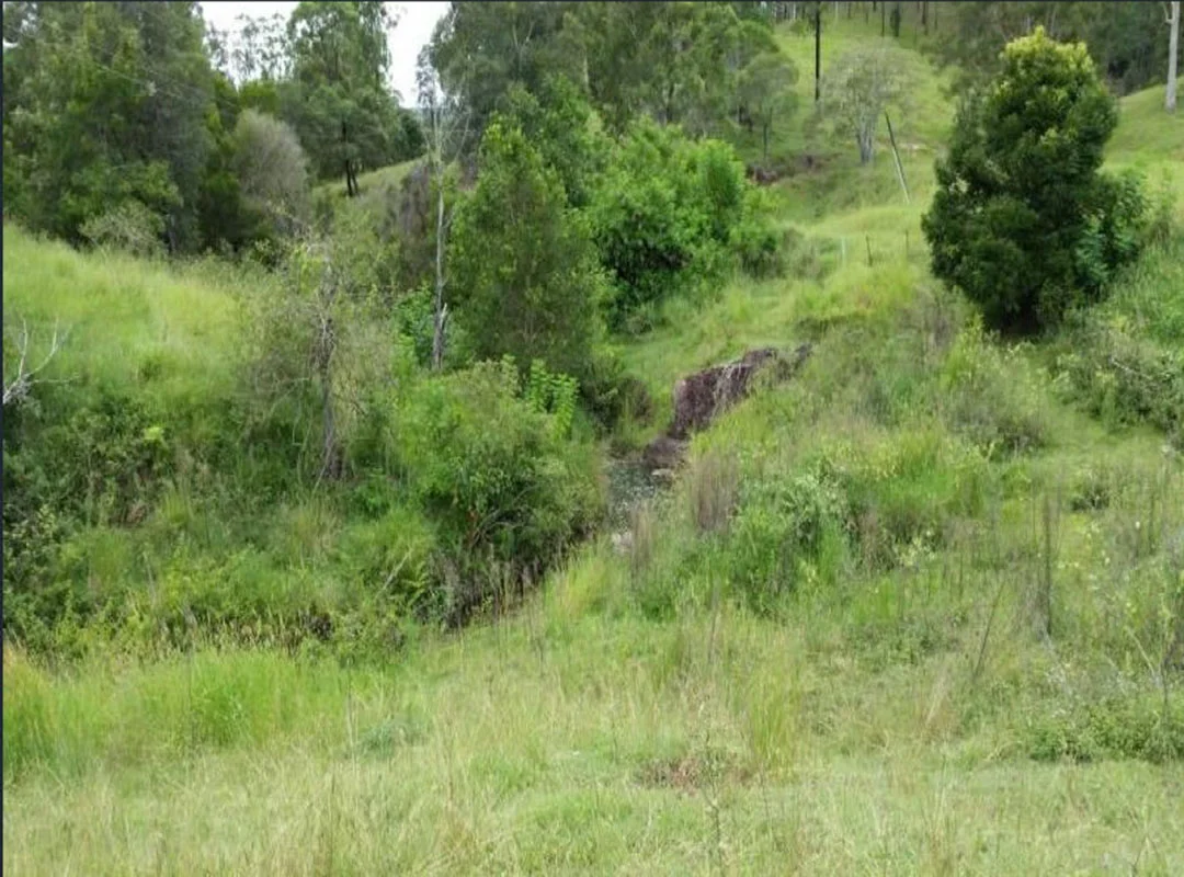 Image 14