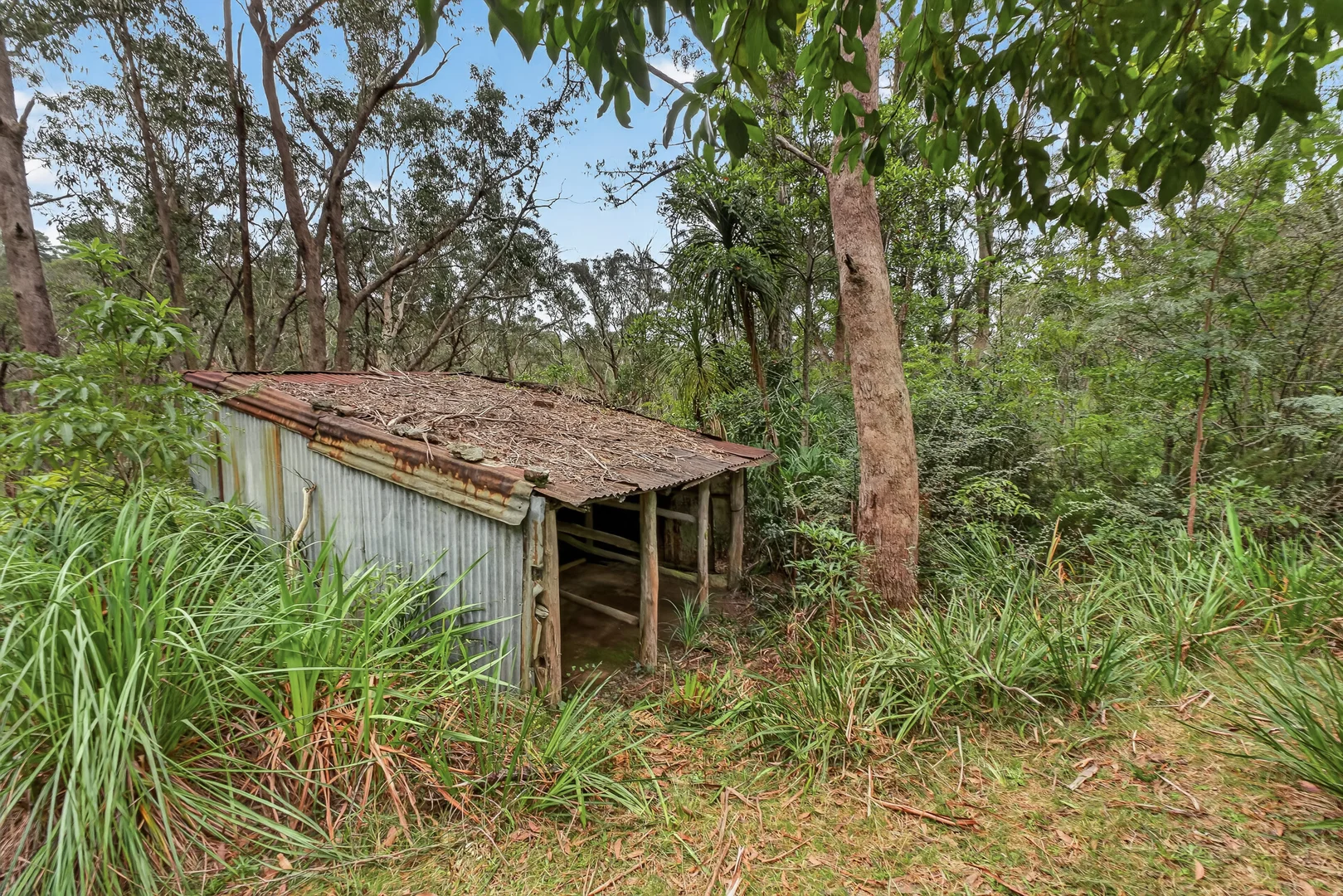 Image 13