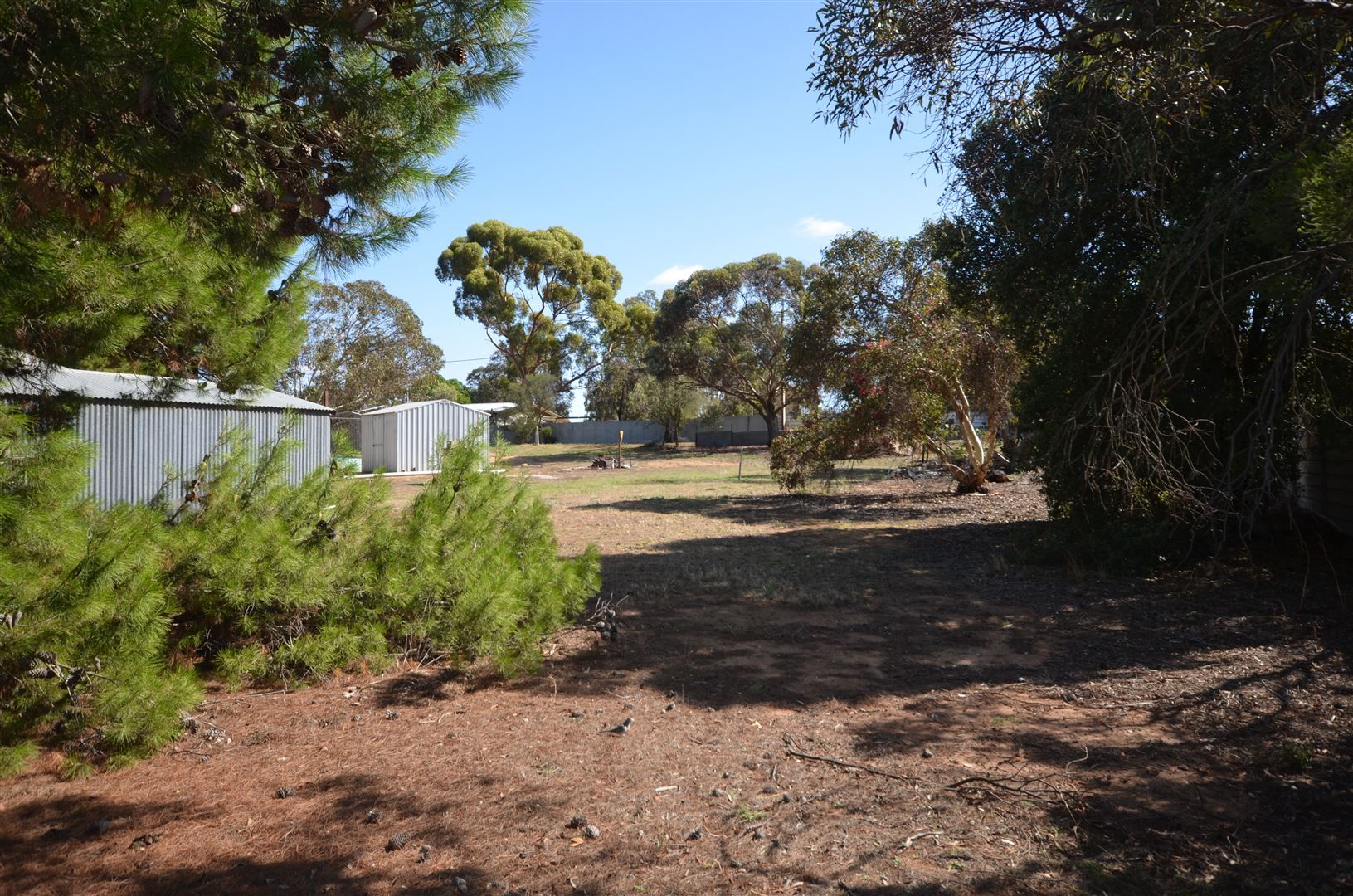 7-8 Park Terrace, Pinnaroo SA 5304, Image 2