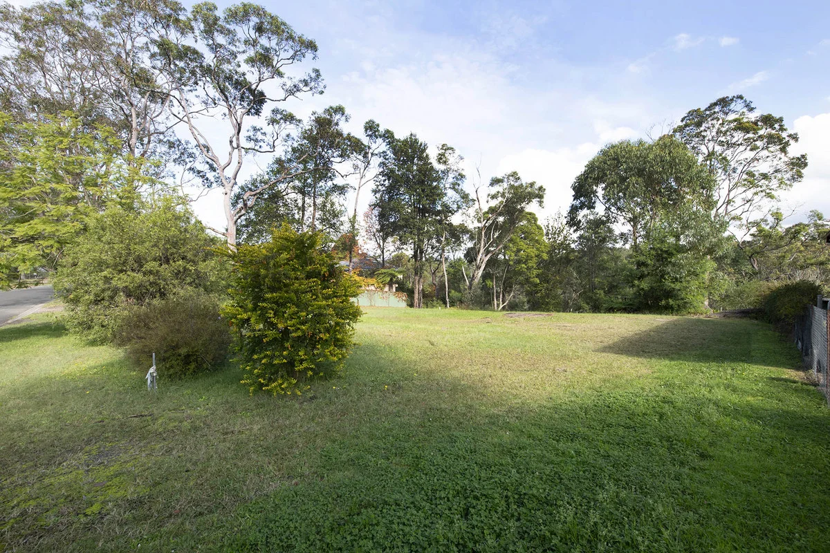 Image 5