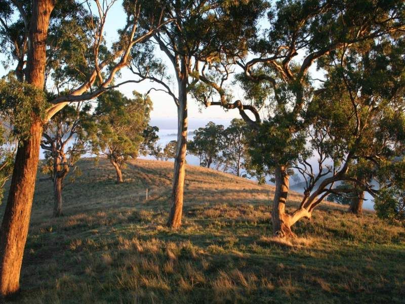 Capertee NSW 2846, Image 0