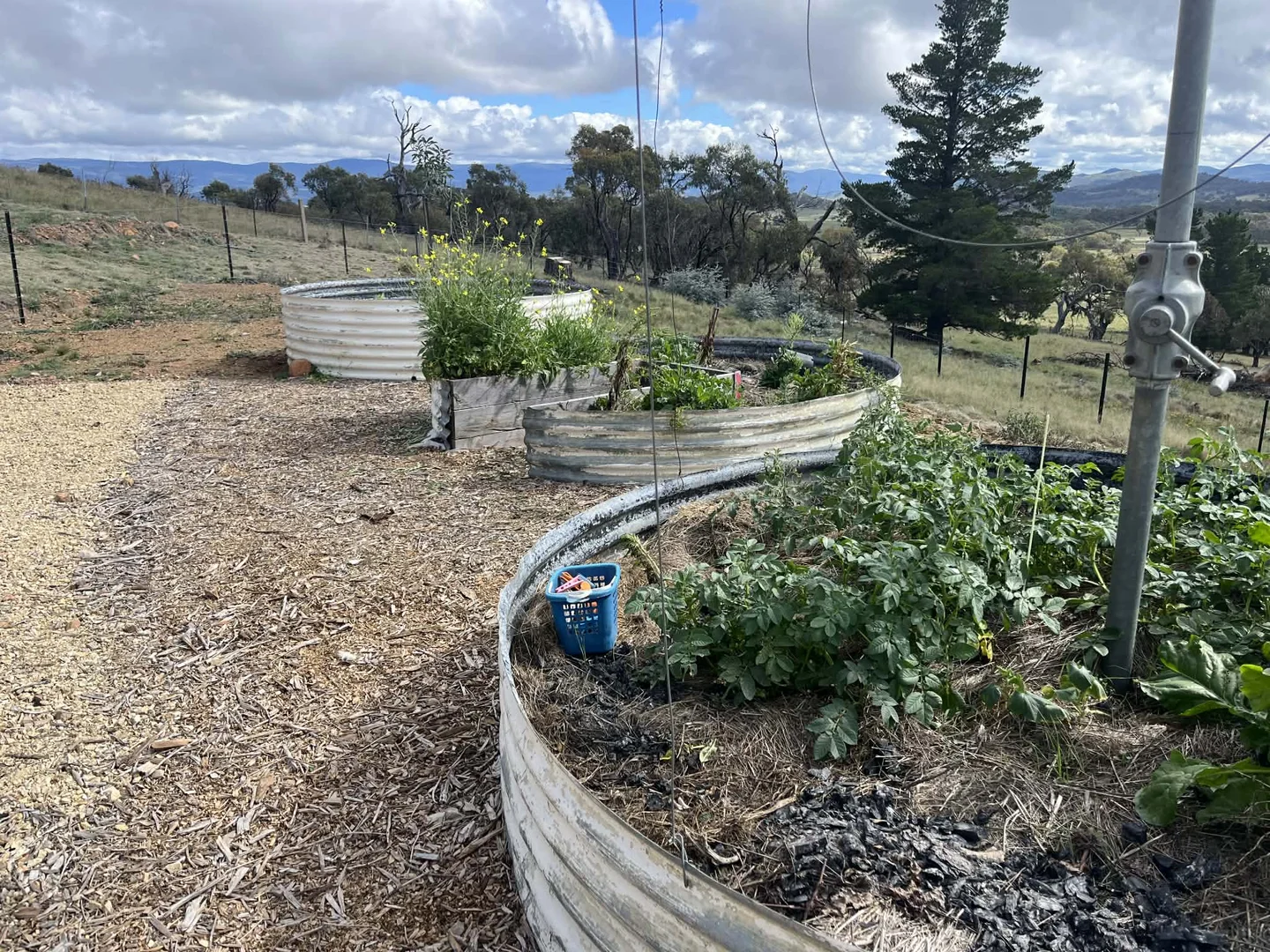 Additional image 7 of Lot 47 DP 751 Rothlyn Road Chakola NSW, Chakola NSW 2630