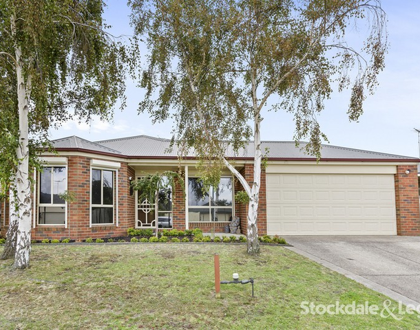 11 Nash Avenue, Drysdale VIC 3222