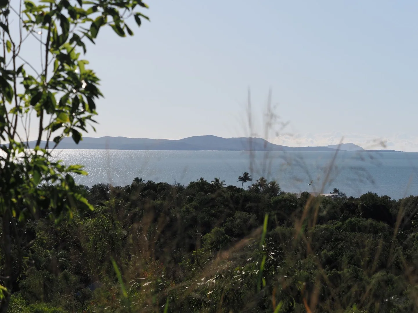 Image 15