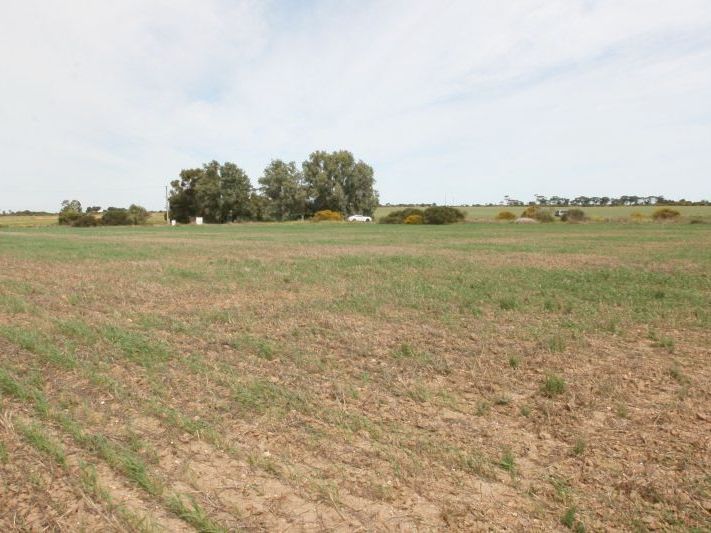 Lot 101 Donaldson Road, Kadina SA 5554, Image 0