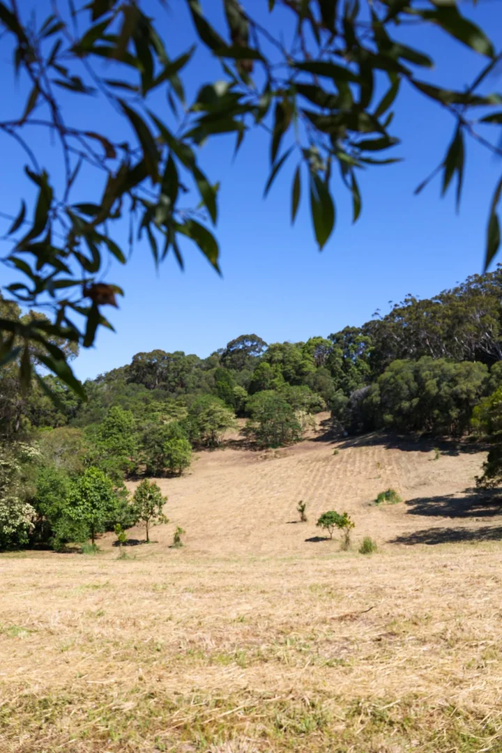 Image 12