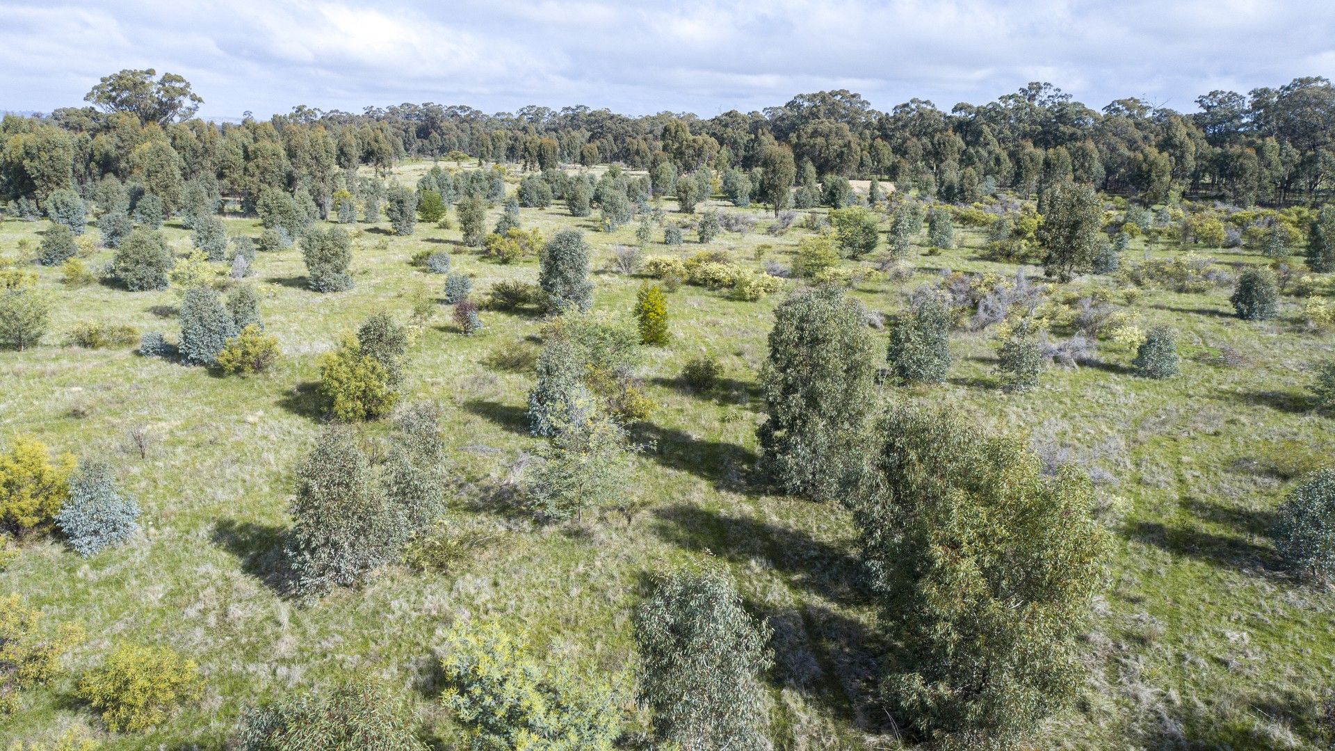 McRoberts Road, Locksley VIC 3665, Image 2