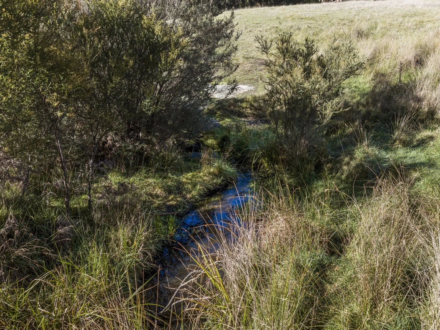 Image 23