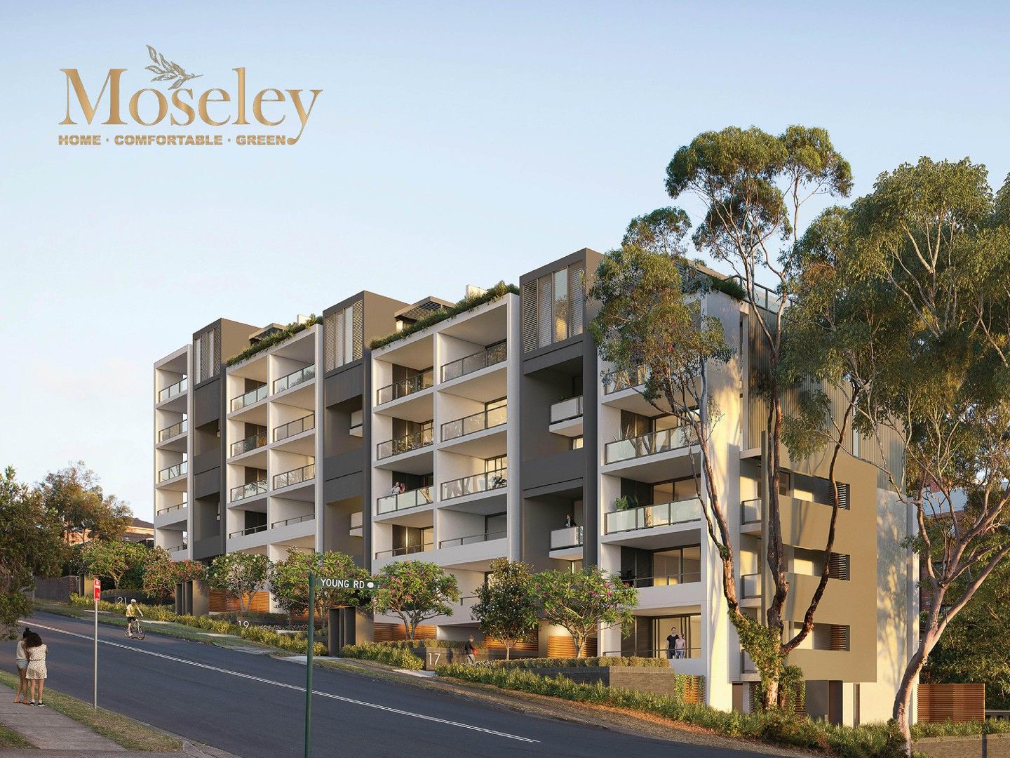 1721 Moseley Street, Carlingford NSW 2118 Domain